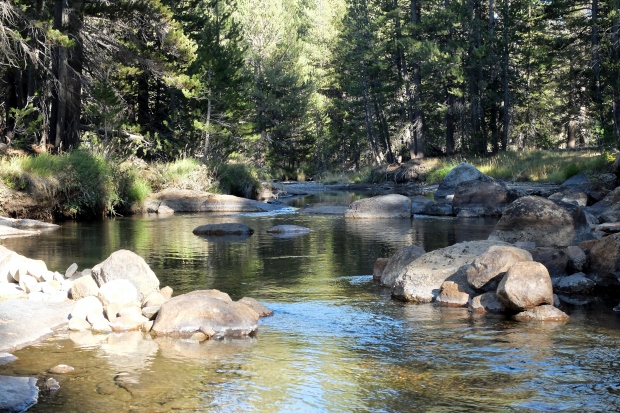 Tuolumne River next to our site 